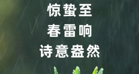 /Upload/202603/03c7d89f-0221-44fb-aa14-8f8bae8fa875.png
